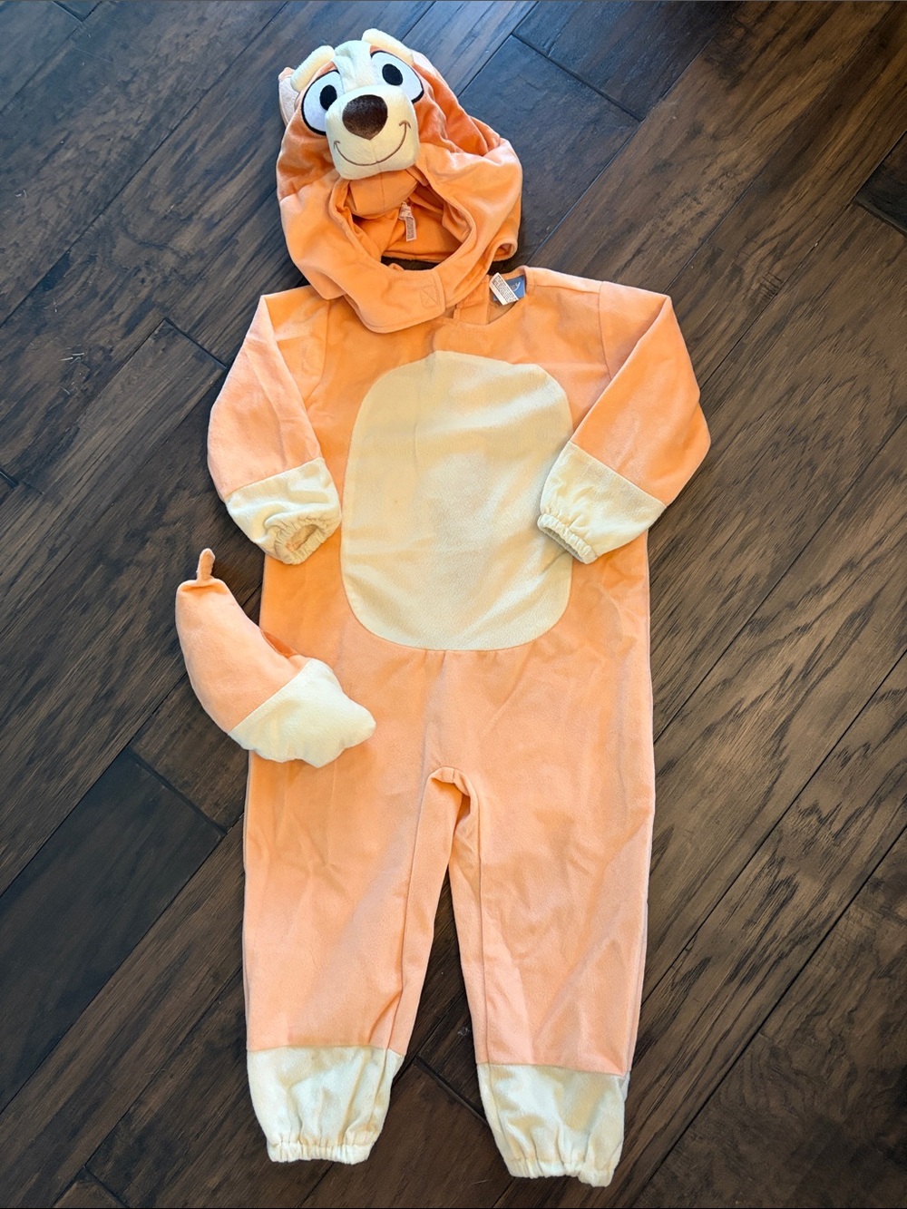Bingo Costume